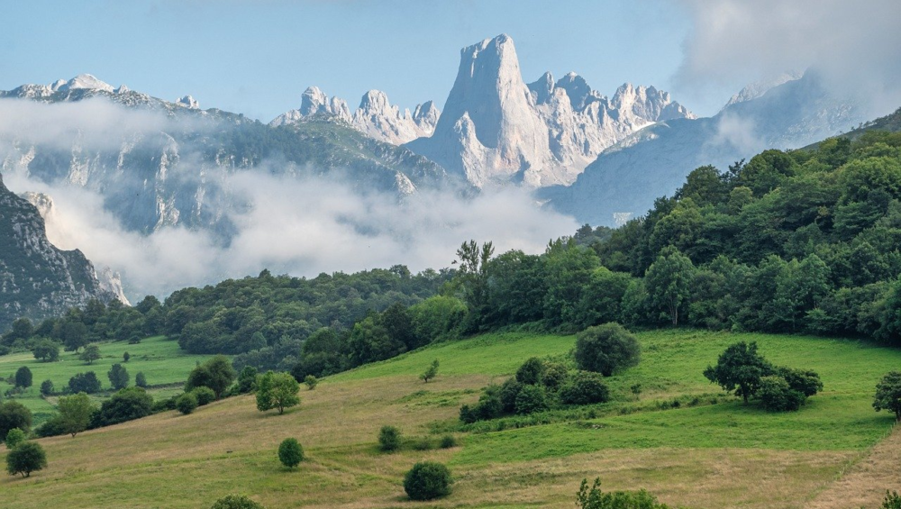 moutains, fog, landscape, meadow, nature, trees, darling, clouds