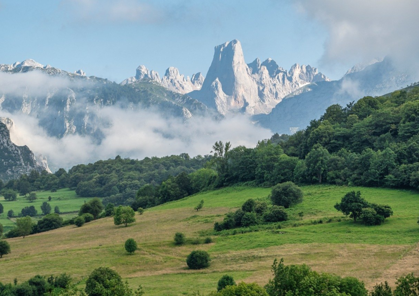 moutains, fog, landscape, meadow, nature, trees, darling, clouds